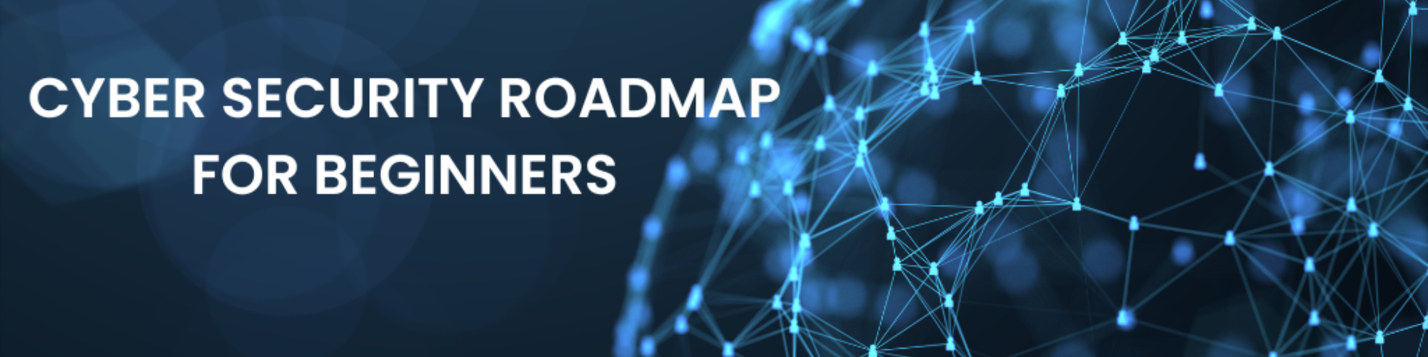Cybersecurity Success Roadmap: A Complete Guide to Becoming a Cybersecurity Professional